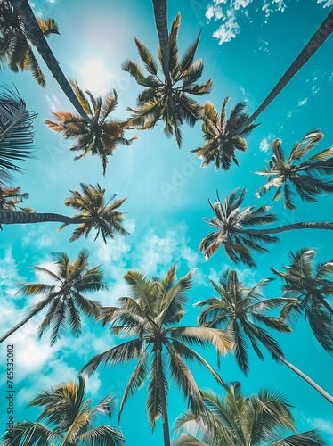 Tropical Palm Canopy Against Blue Sky