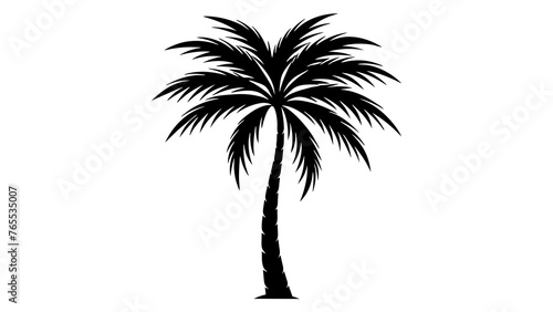 Enhance Your Landscape with Stunning Palm Tree Silhouettes