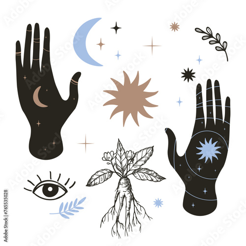 Magic set with mystical hands, sun, moon, star, plant, mandrake flowers, leaf, all-seeing eye hand drawn isolated vector illustration. Design boho background for print, card, paper, logo, paper, sign