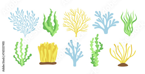 Vector seaweed set isolated on white background