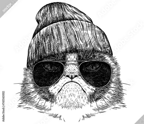 Vintage engraving isolated cat glasses dressed fashion set illustration kitty ink sketch. Pet background kitten silhouette whisker sunglasses hipster hat art. Black and white hand drawn vector image