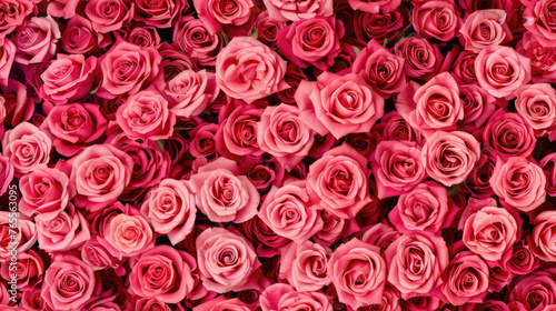 Pink roses wallpaper suitable for backgrounds, greeting cards, floral design projects, and romanticthemed graphics. Bright and feminine aesthetic.