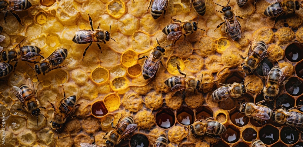 A collection of bees gathered inside a beehive, working together to maintain their colony and produce honey A collection of bees gathered inside a beehive, working together to maintain their colony and produce honey