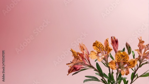  Beautiful floral arrangement on wooden table, against pink wall with reflective mirror above © Viktor