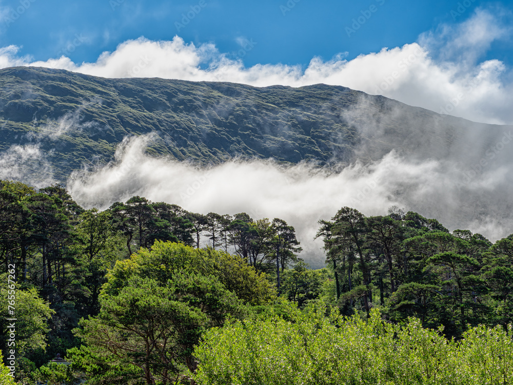 Landscape near Aasleagh Falls - Cloud-Covered Mountain With Foreground Trees