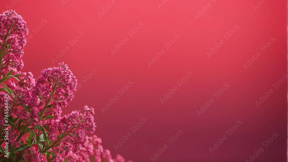  Pink bouquet on pink backdrop with pink wall in foreground