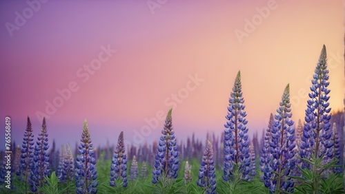  Blue flower field  pink and purple skies - breathtaking nature art