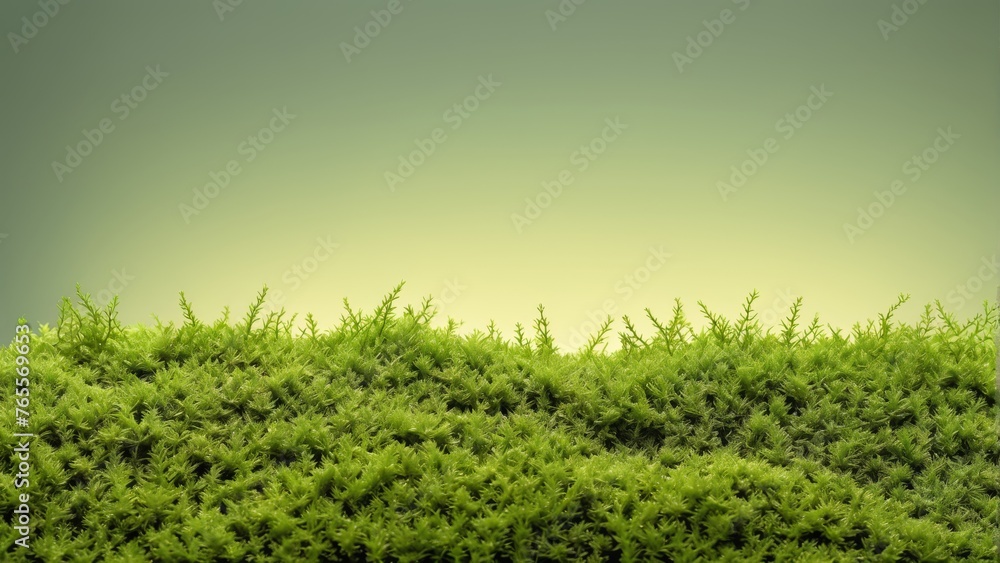 Close-up of lush green grass under clear blue sky Close-up of lush green grass under clear blue sky