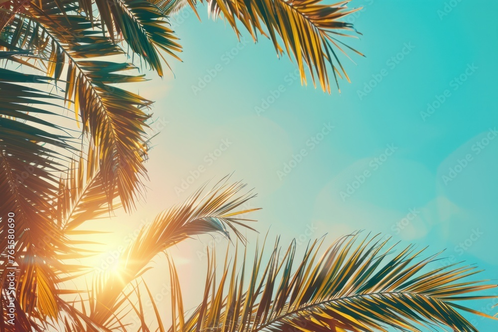 Copy space of tropical palm tree with sun light on sky background - obrazy, fototapety, plakaty 