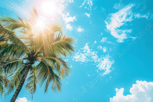 Copy space of tropical palm tree with sun light on sky background