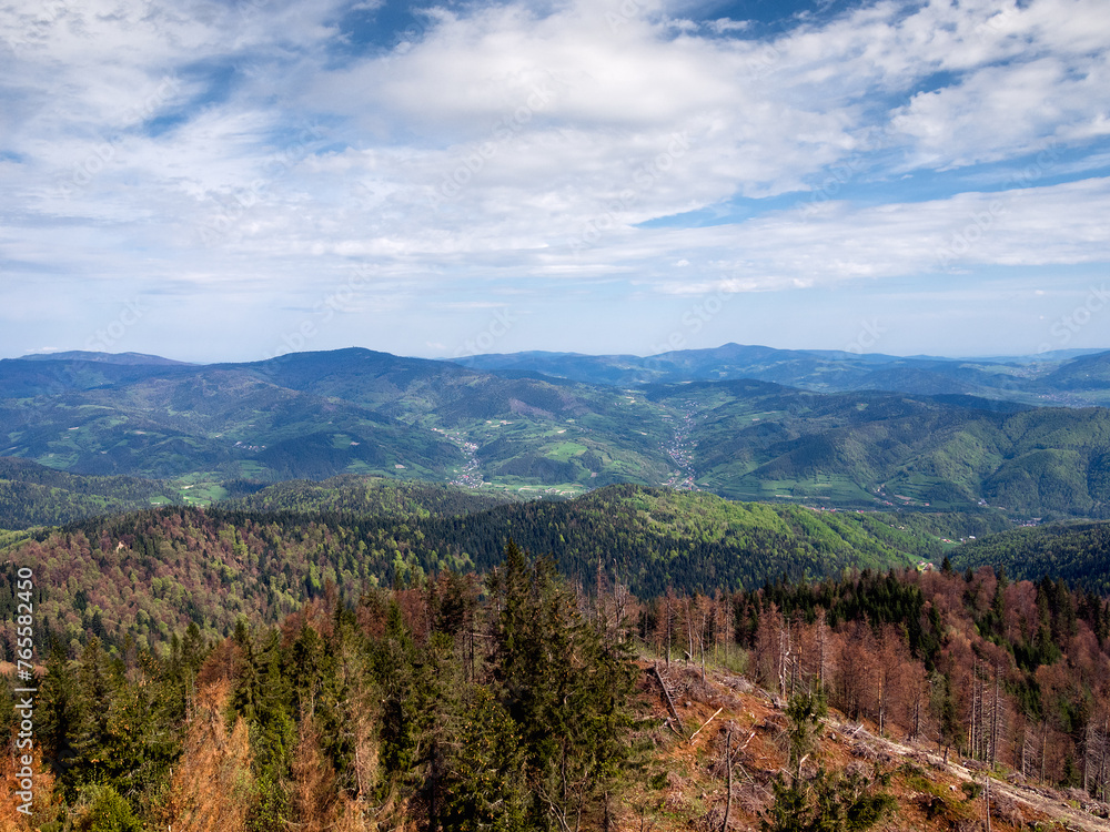 View of Village Ochotnica Dolna in Gorce mountains from summit of mountain Luban. - obrazy, fototapety, plakaty 