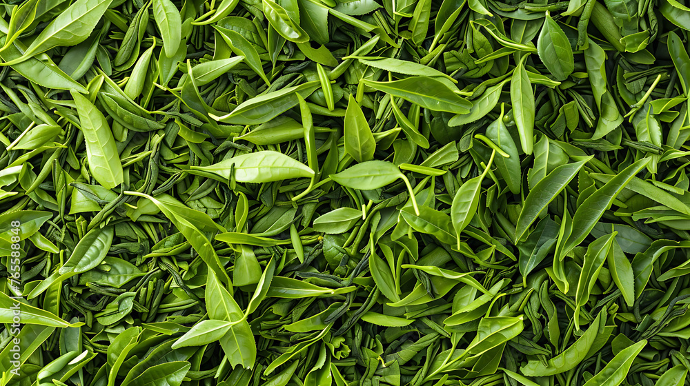 Green tea, the power of caffeine for daily freshness Green tea, the power of caffeine for daily freshness