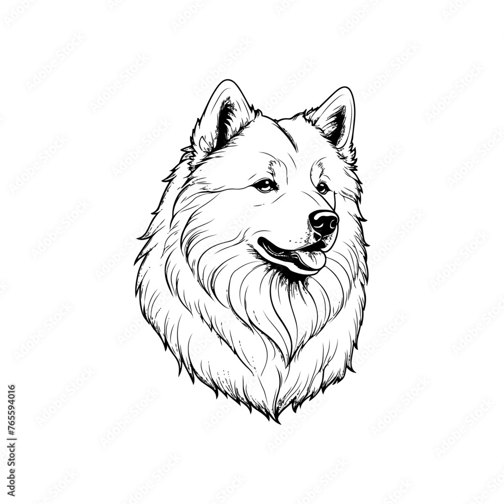 Intricately detailed vector illustration of a Samoyed dog in line art style.