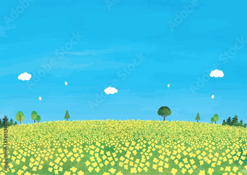 菜の花畑と木と青空の風景水彩
