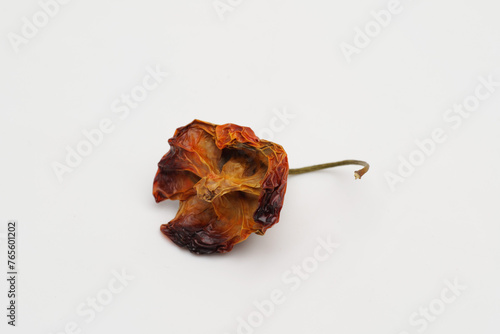 Hot pepper Bishop's crown on a white background.
