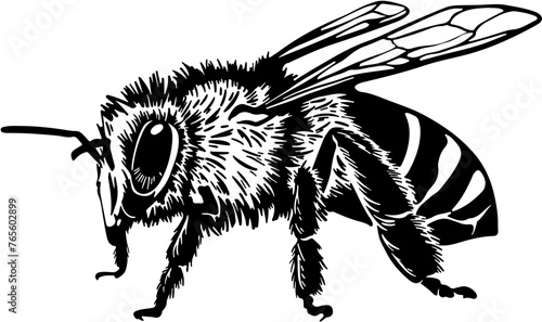 
Bee svg,Bee cute svg,Bee svg files,Bee cricut,Bee clipart,Bee shirt,Bee dxf,Bee vector,Bee cut files,Bee files for cricut
