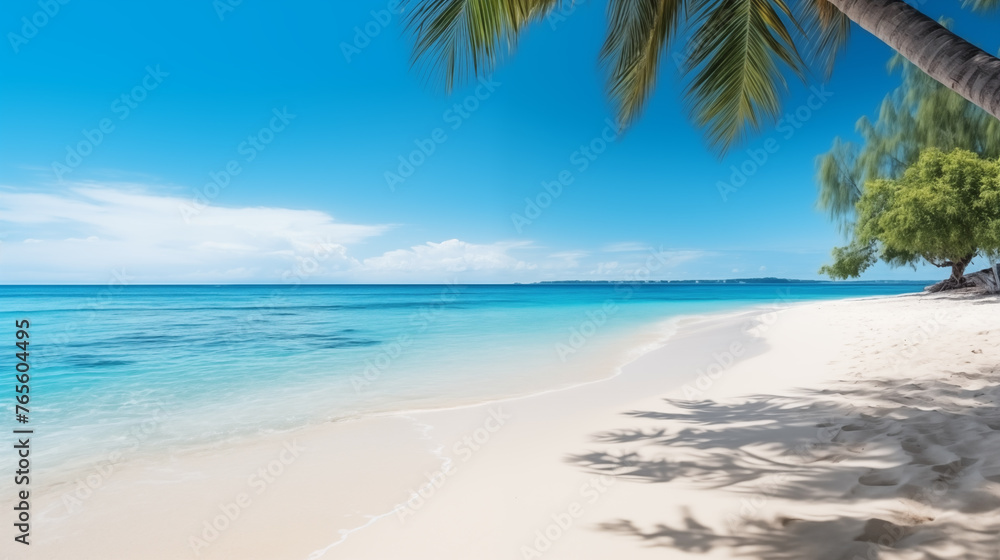 Fototapeta premium Tropical beach. Summer vacation on a tropical island with beautiful beach and palm trees. Tropical Maldives.