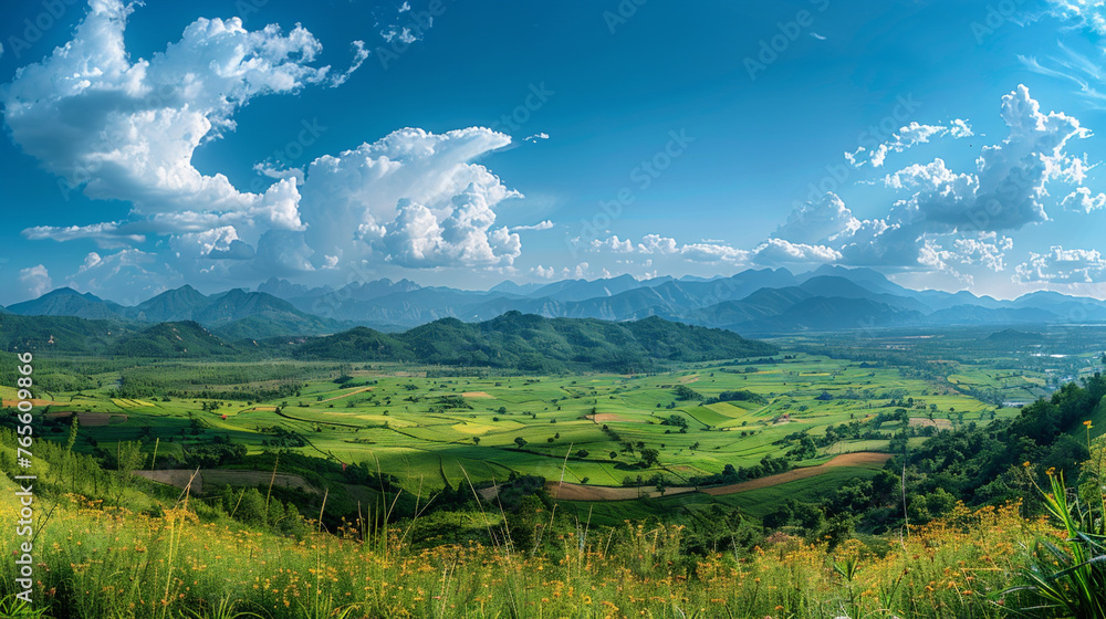 Obraz premium 夏の大自然の風景