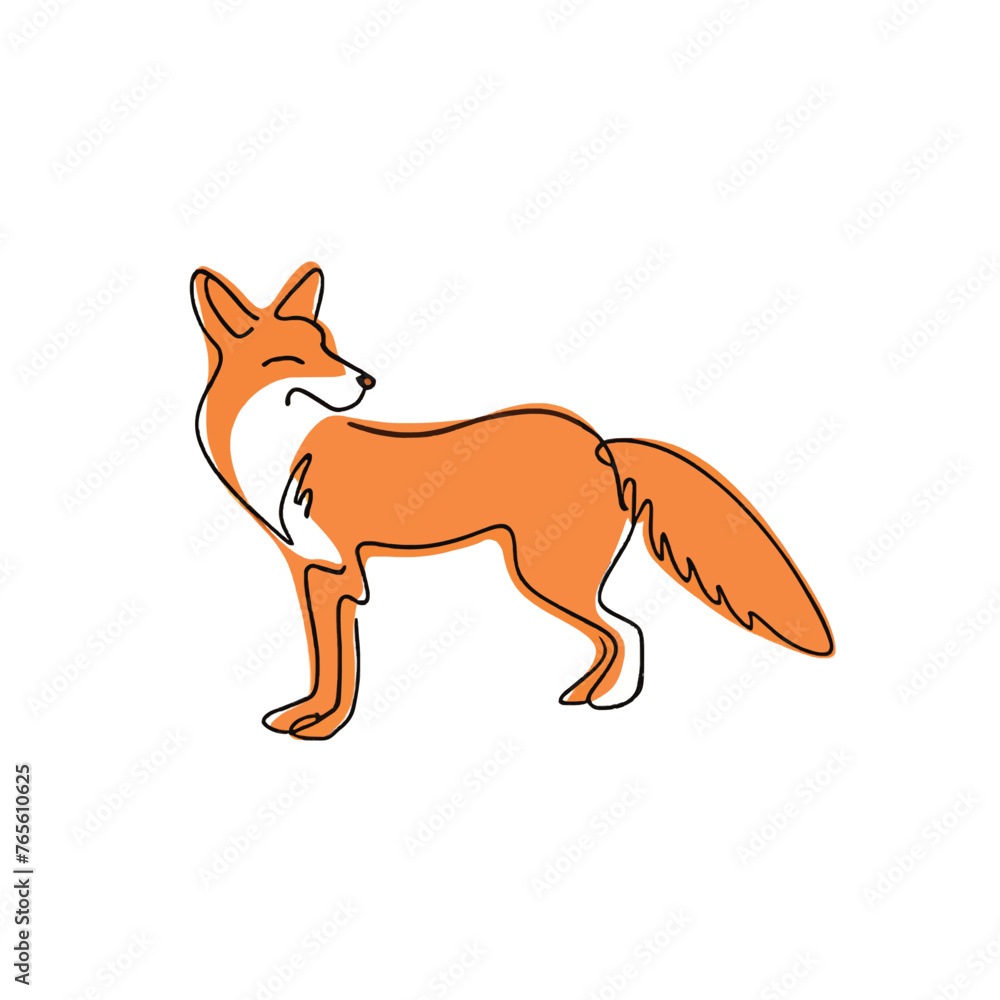 drawing illustration of a fox drawing illustration of a fox