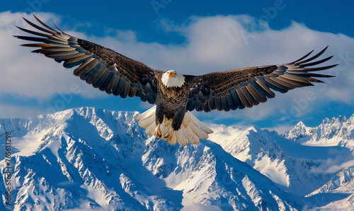 A bald eagle spreads it wings and soars high above the snow-capped mountains near Homer, Alaska on the Kenai Peninsula.  © Natalina