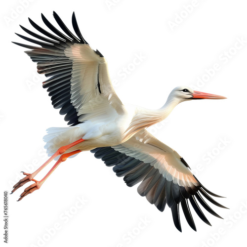 white stork in flight