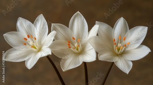  A trio of white blossoms atop a wooden table with a red-and-white vase nearby
