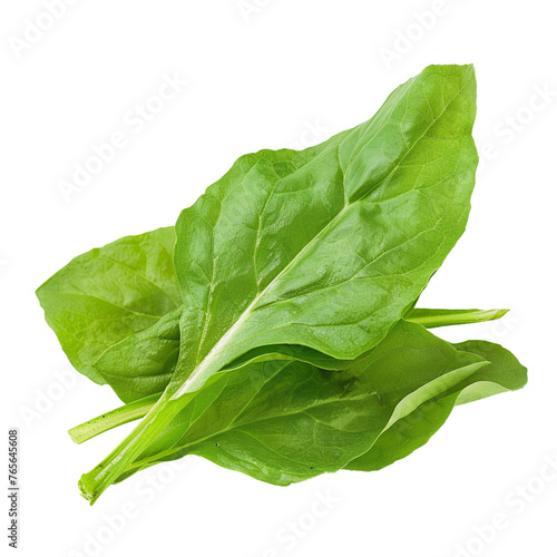 Sorrel, transparent background, isolated image, generative AI photo