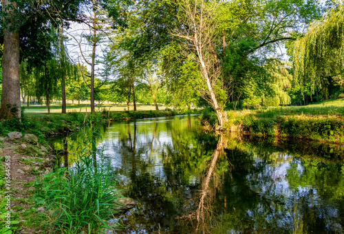 Reflection of Tree in Water at Lehigh Parkway Allentown PA