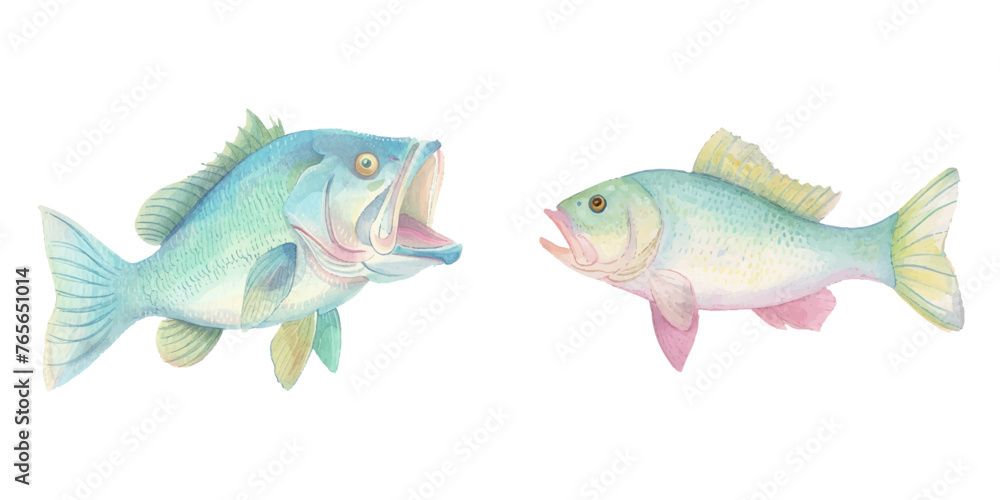  big bass fish watercolour vector illustration