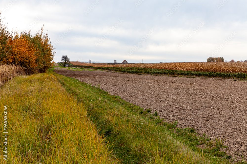 Beautiful autumn landscape in the countryside. Beautiful autumn landscape in the countryside.