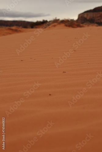 Coral Pink Sand Dunes  Utah