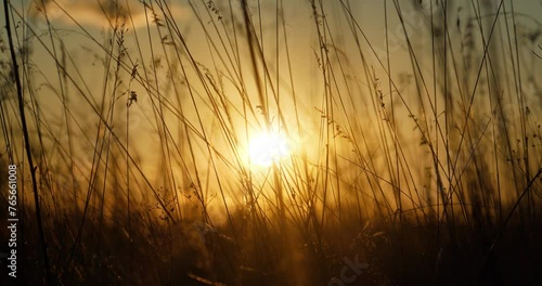 Sun is setting below horizon. Dry autumn grass barely sways. Beautiful sunset in meadow. Cinema 4K 60fps zoom-in video photo