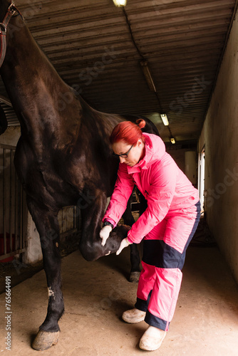 Veterinarian checking black horse's hoof