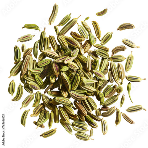 Fennel seeds isolated on transparent background