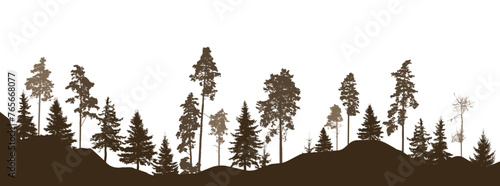 Coniferous forest, silhouette of pine trees and spruces, beautiful landscape. Vector illustration