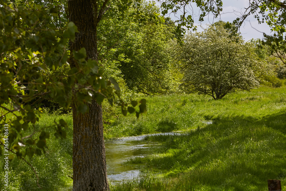 Fototapeta premium Naturschutzgebiet Pöppelsche Talsystem, Erwitte, Kreis Soest, NRW, Deutschland, 2023