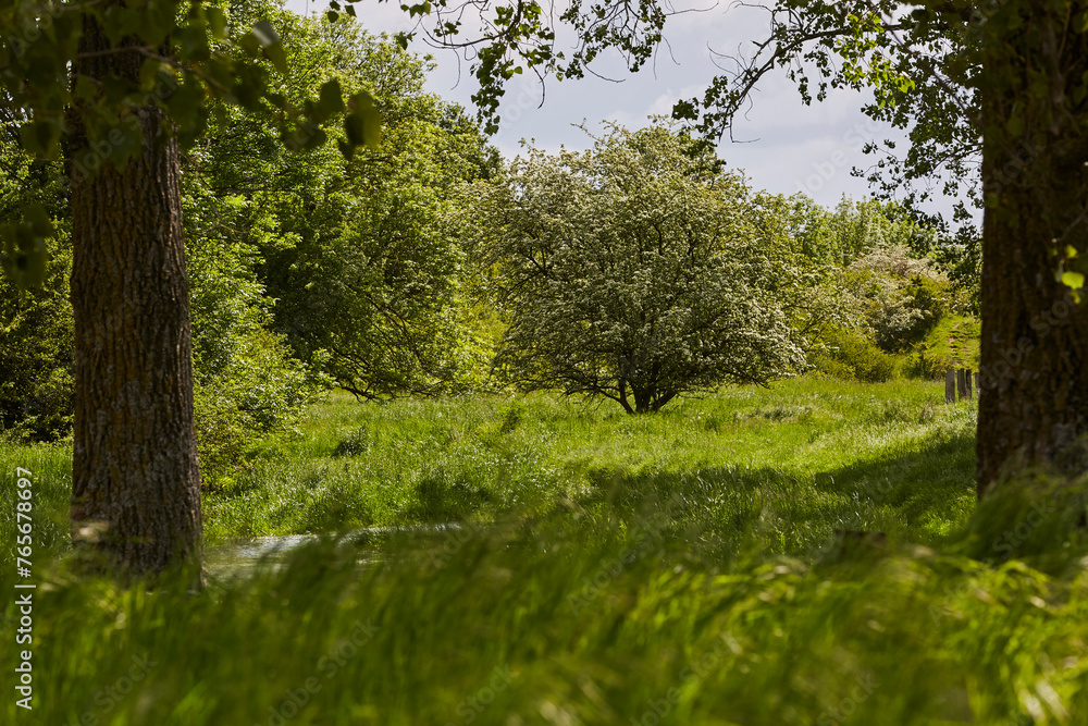 Naturschutzgebiet Pöppelsche Talsystem, Erwitte, Kreis Soest, NRW, Deutschland, 2023