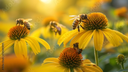 Helenium blossoms hosting busy bees in a lush field