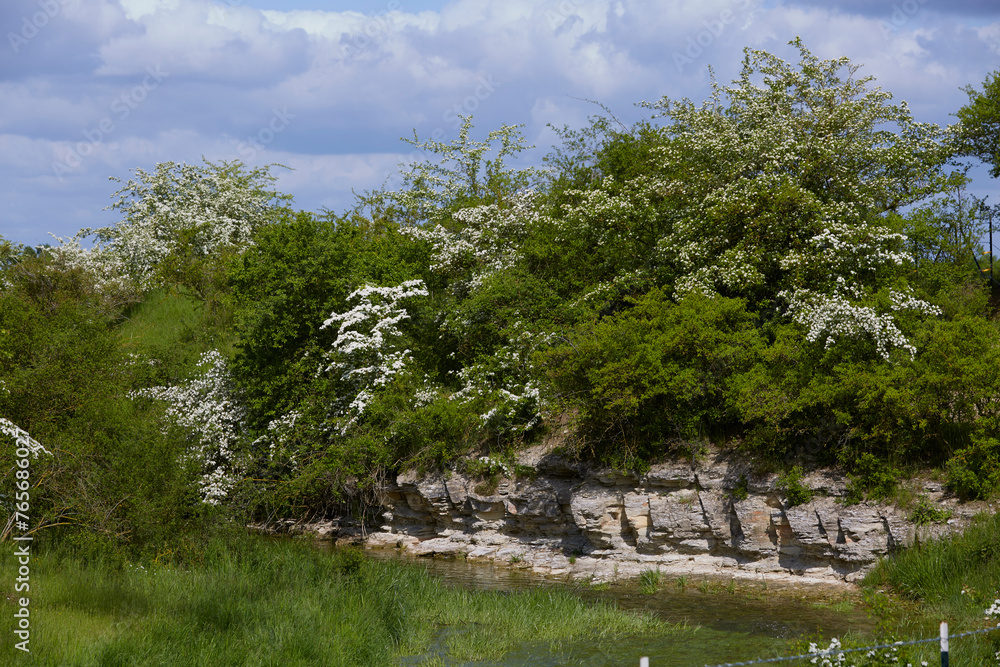 Naturschutzgebiet Pöppelsche Talsystem, Erwitte, Kreis Soest, NRW, Deutschland, 2023 Naturschutzgebiet Pöppelsche Talsystem, Erwitte, Kreis Soest, NRW, Deutschland, 2023