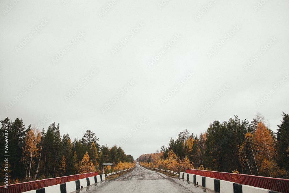 Treelined road under a sky bridge in a forest landscape