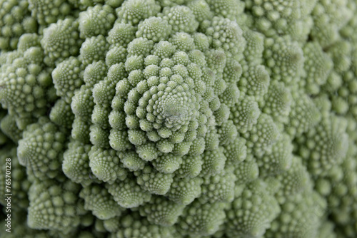 details of a biological example of Fibonacci spirals and fractals in nature using a Romanesco cauliflower