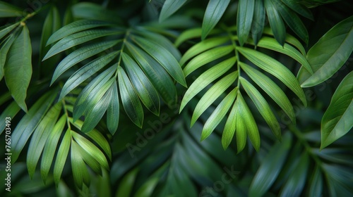 Green Leaves Adorning Wall