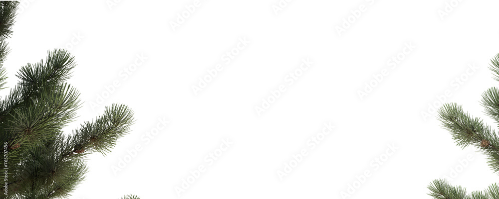 Plant and Tree Shadow With Transparent Background Plant and Tree Shadow With Transparent Background
