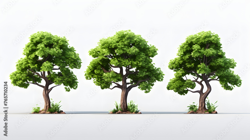 Oak trees icon 3d Oak trees icon 3d