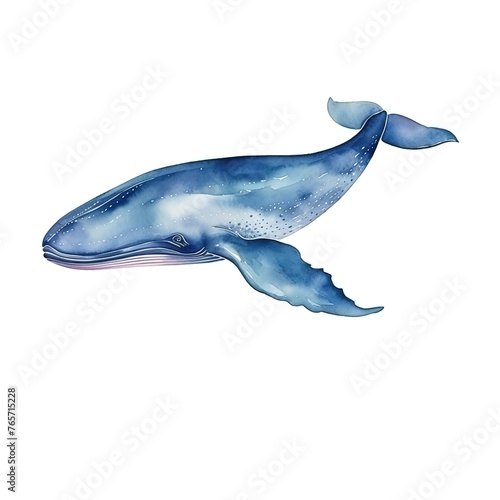 Whale Blue whale watercolor © LELISAT