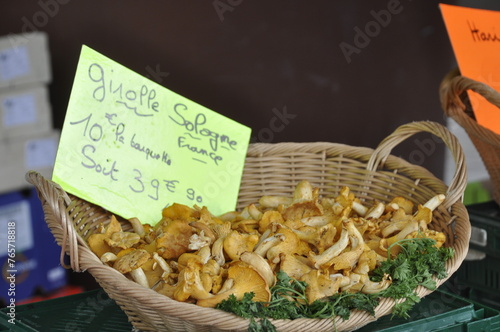 Chanterelles in a basket at the market