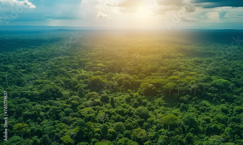 Aerial view of Amazon rainforest in Brazil, South America. Green forest. Bird`s-eye view. photo