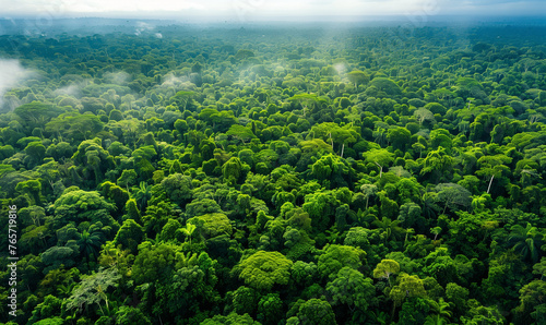 Aerial view of Amazon rainforest in Brazil, South America. Green forest. Bird`s-eye view. photo