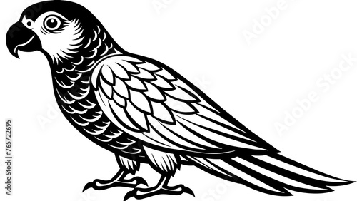Birds and svg file