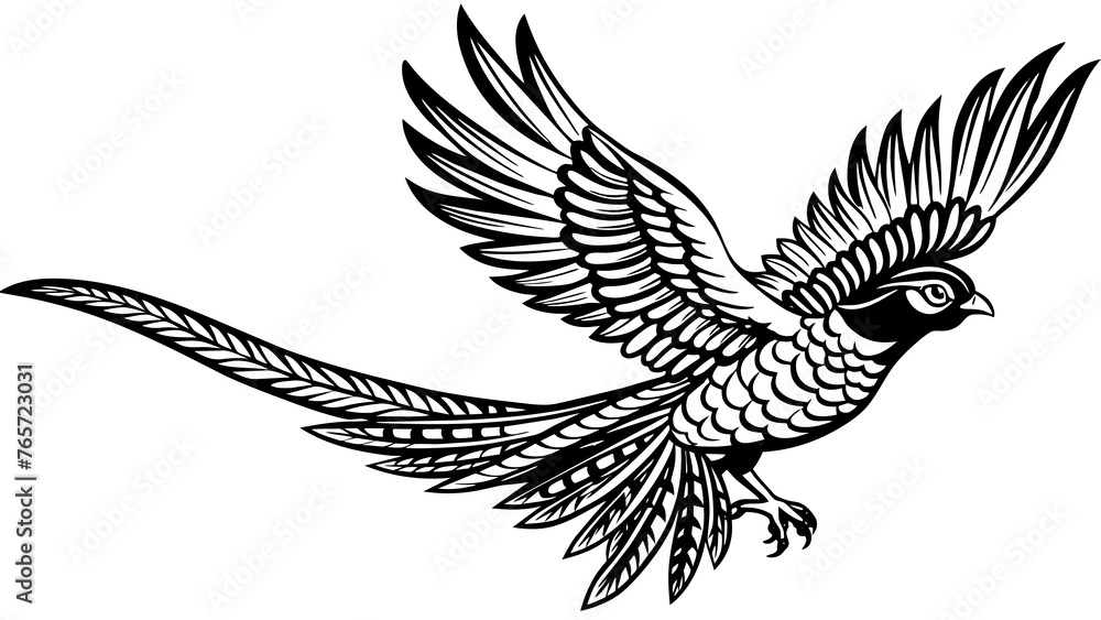 Birds and svg file Birds and svg file